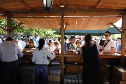 Romería de San Froilán 2019 en La Virgen del Camino. FOTO: MARCIANO PÉREZ