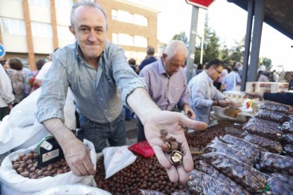 Romería de San Froilán 2019 en La Virgen del Camino. FOTO: MARCIANO PÉREZ