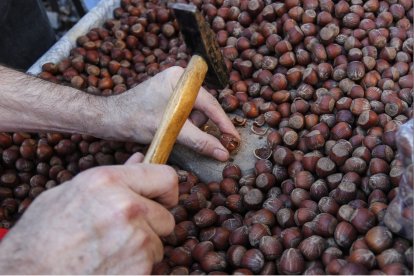 Romería de San Froilán 2019 en La Virgen del Camino. FOTO: MARCIANO PÉREZ