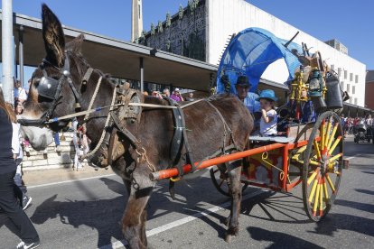 Carros engalanados en la tradicional romería de San Froilán en La Virgen del Camino (León) declarada de Interés Turístico Provincial y Regional. Foto: Carlos S. Campillo
