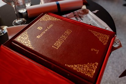 Entrega del Premio Diario de León al Desarrollo Social y los Valores Humanos. MARíA FUENTES