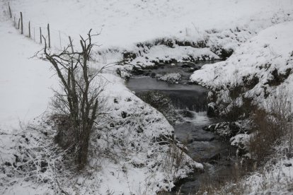 La nieve ha llegado a la provincia de León. FERNANDO OTERO