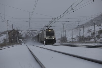 La nieve ha llegado a la provincia de León. FERNANDO OTERO