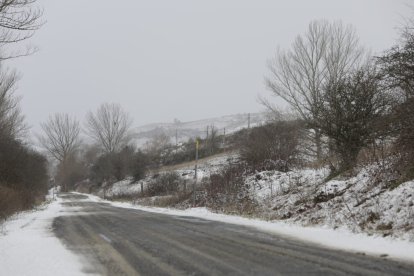 La nieve ha llegado a la provincia de León. FERNANDO OTERO