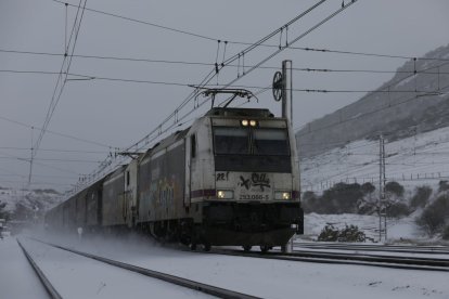 La nieve ha llegado a la provincia de León. FERNANDO OTERO