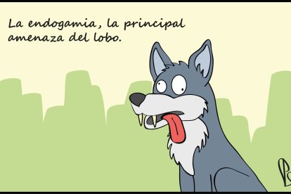 El humor de Santamarta