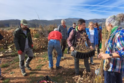 Voluntarios plantan árboles en Boisán, en los terrenos arrasados por el fuego en agosto de 2023