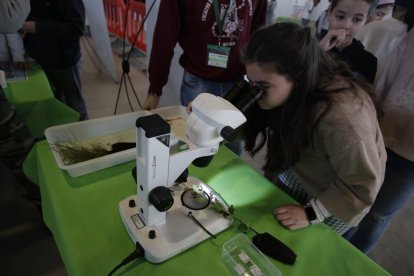 Nueva edición de Expociencia.