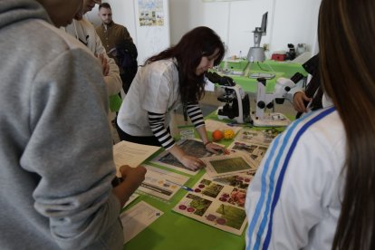 Nueva edición de Expociencia.