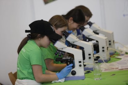 Nueva edición de Expociencia.