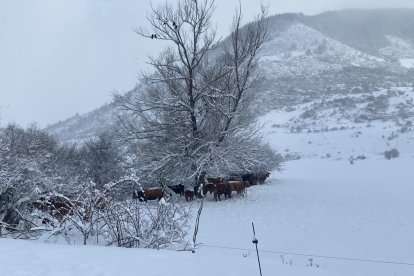 Nieve en Lario.
