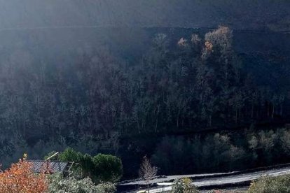 Maquinaria abundante para el trabajo de movimiento y afianzamiento de escombreras en Torre. | dl