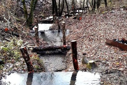 Maquinaria abundante para el trabajo de movimiento y afianzamiento de escombreras en Torre. | dl