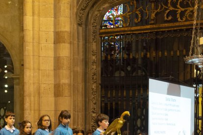 Encuentro de Escuelas Católicas en la Catedral de León