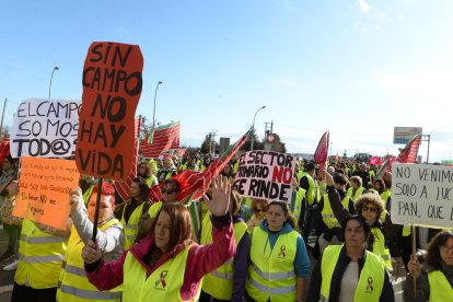 Un momento de la protesta de las mujeres del campo en Villadangos.
