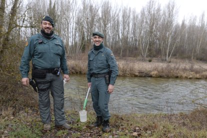 Tras la huella del hombre para poner coto al maltrato animal.