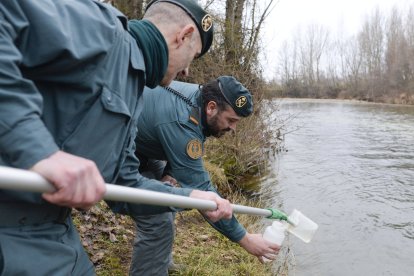 Tras la huella del hombre para poner coto al maltrato animal.