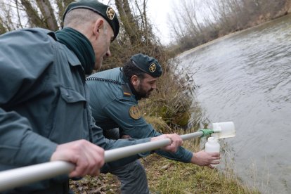 Tras la huella del hombre para poner coto al maltrato animal.
