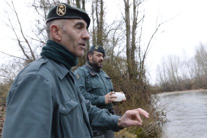 Tras la huella del hombre para poner coto al maltrato animal.