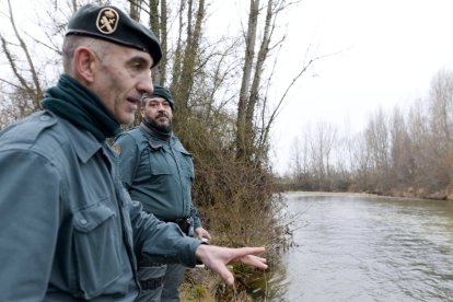 Tras la huella del hombre para poner coto al maltrato animal.