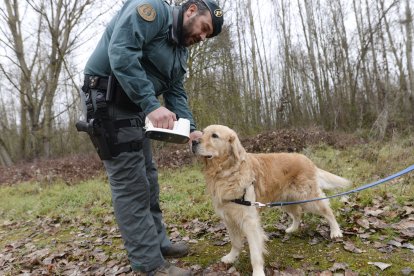 Tras la huella del hombre para poner coto al maltrato animal.