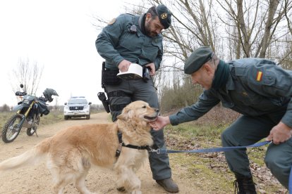 Tras la huella del hombre para poner coto al maltrato animal.