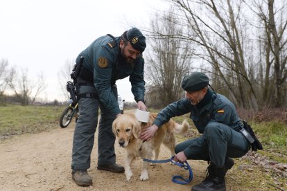 Tras la huella del hombre para poner coto al maltrato animal.