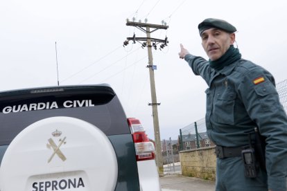 Tras la huella del hombre para poner coto al maltrato animal.