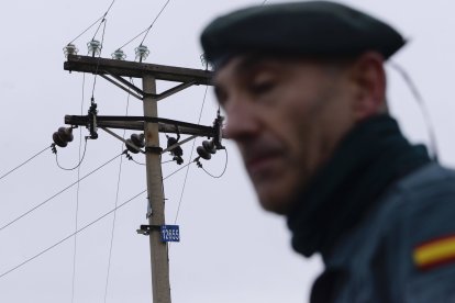 Tras la huella del hombre para poner coto al maltrato animal.