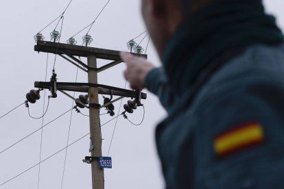 Tras la huella del hombre para poner coto al maltrato animal.