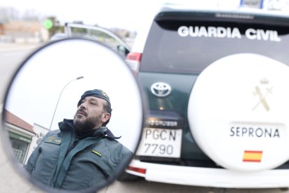 Tras la huella del hombre para poner coto al maltrato animal.