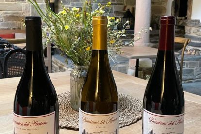 Tres ricas y sabrosas variedades de sus vinos bajo el sello Dominios del Arriero.