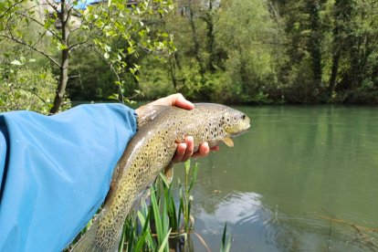La trucha se dejó ver poco en el estreno de la temporada de pesca en los ríos de la provincia leonesa.