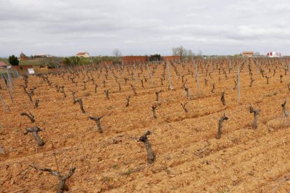 Rutas de Valdevimbre permitirá conocer el municipio, sus actividades y alicientes. RAMIRO