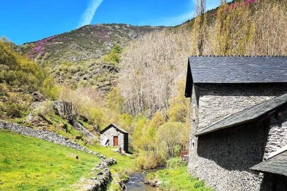 Imágenes de los diferentes paisajes que pueden disfrutarse en los quince pueblos que forman parte del Ayuntamiento de Murias de Paredes. Omaña Alta, Reserva de la Biosfera. Una tierra milenaria que te ofrece un entorno natural único y un rico legado cultural que sus habitantes han sabido conservar hasta nuestros días. Recorre sus valles y montañas, disfruta de los sonidos del agua, respira la fresca brisa de los neveros. Camina por sus sendas y descubre algunos de los habitantes de sus bosques.