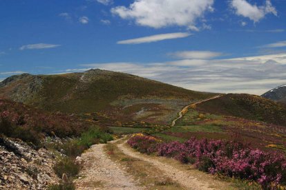 Imágenes de los diferentes paisajes que pueden disfrutarse en los quince pueblos que forman parte del Ayuntamiento de Murias de Paredes. Omaña Alta, Reserva de la Biosfera. Una tierra milenaria que te ofrece un entorno natural único y un rico legado cultural que sus habitantes han sabido conservar hasta nuestros días. Recorre sus valles y montañas, disfruta de los sonidos del agua, respira la fresca brisa de los neveros. Camina por sus sendas y descubre algunos de los habitantes de sus bosques.
