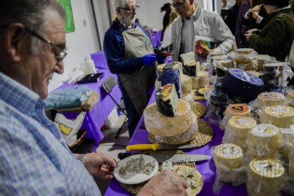 El centro Expocoyanza acoge desde este sábado hasta el domingo la tercera edición de Iberqueso, la feria del queso de España y Portugal, con 27 productores.