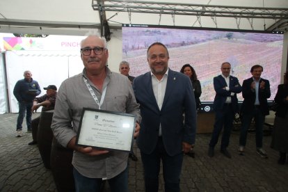 Una veintena de bodegas participan en el evento vitivinícola durante todo el fin de semana.