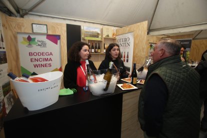 Una veintena de bodegas participan en el evento vitivinícola durante todo el fin de semana.