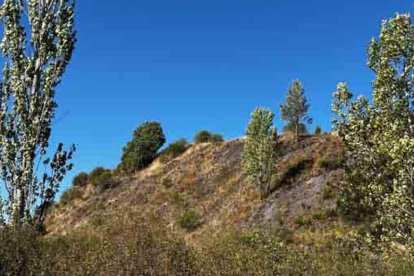 Escombrera de Villablino.  C2R