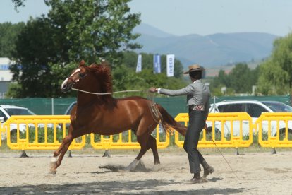 Feria del Caballo de Camponaraya.