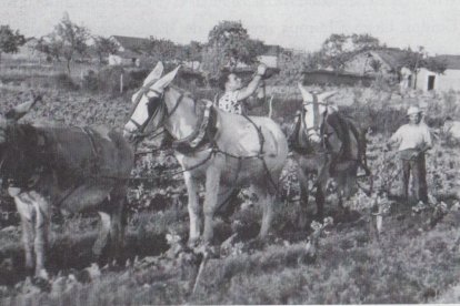 Vecinos de Cabañas Raras, en plena faena con las viñas, en una imagen antigua extraída del libro de Aquilino Guerra.