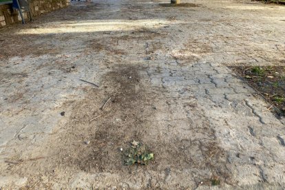 Estado de las obras en el parque de San Mamés, que han visitado los concejales de UPL
