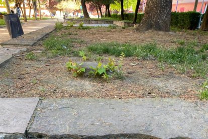 Estado de las obras en el parque de San Mamés, que han visitado los concejales de UPL