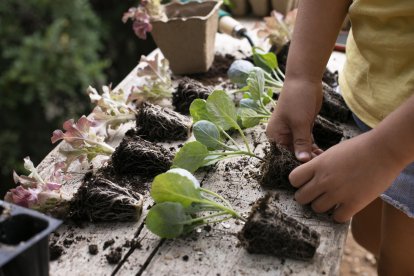 Taller de primavera