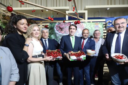 Los políticos, con la mejor cereza berciana.