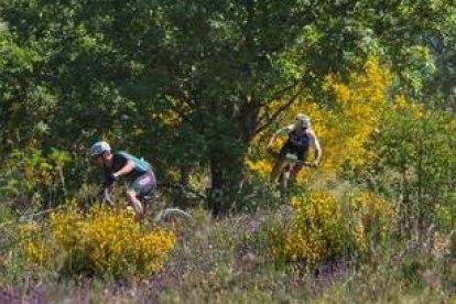Espectacularidad y emoción a partes iguales en la novena entrega de La Virginiana.