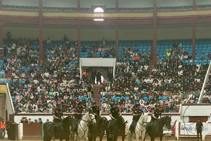 La Unidad a Caballo, en formación.