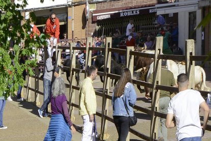 El día grande de Sahagún.