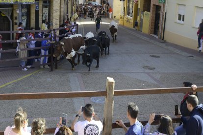 El día grande de Sahagún.